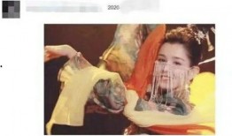 陈赫哈妮克孜爆料视频播放,揭秘背后真相