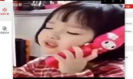 小魏老家爆料视频大全