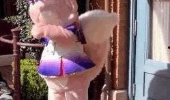 明星偷拍爆料网站视频大全,揭秘明星偷拍爆料网站视频大全